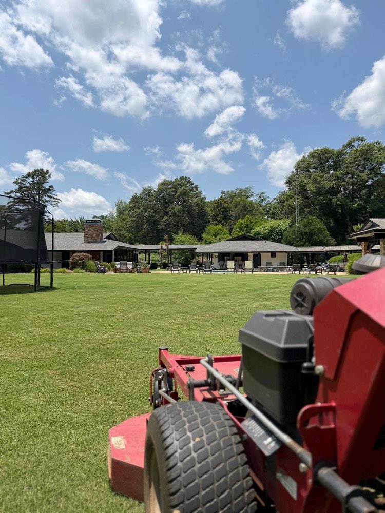 Freshly maintained lawn