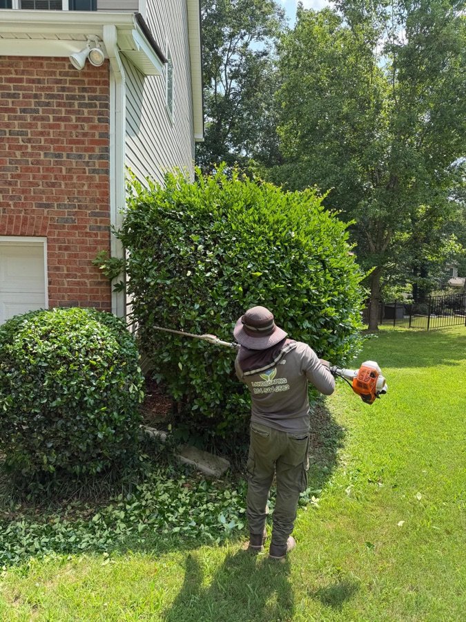 Residential Landscaping
